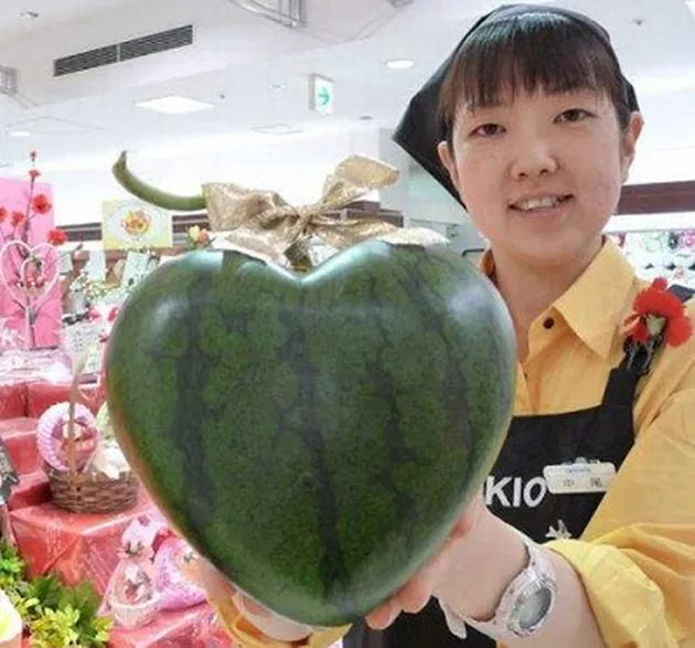 hal unik, hal unik di jepang, hal unik di dunia, hal unik di asia