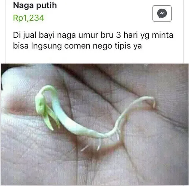 foto unik, foto aneh, foto lucu, foto keren