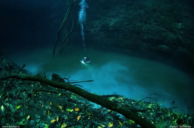 penemuan bawah laut, penemuan mengerikan, foto misteri