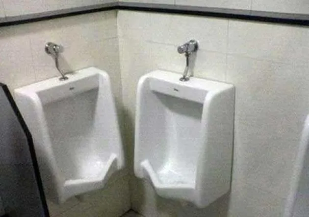 arsitektur fail, gambar fail, foto lucu, gambar lucu