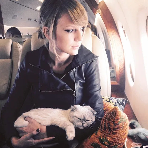 Taylor Swift The Cat Queen of Instagram
