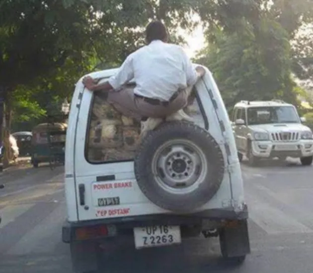 hal unik, hal unik di dunia, hal unik di india