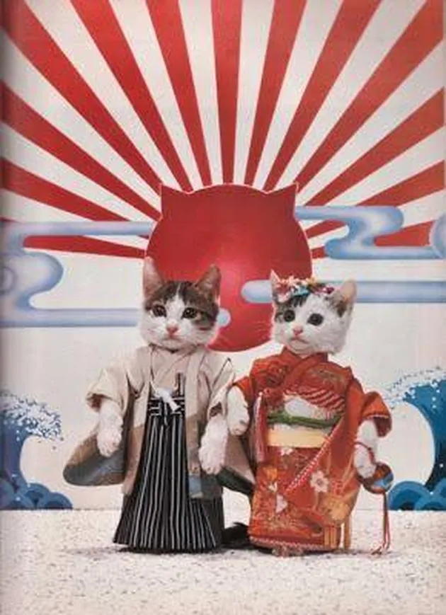 jepang, hal unik di jepang, hal aneh di jepang
