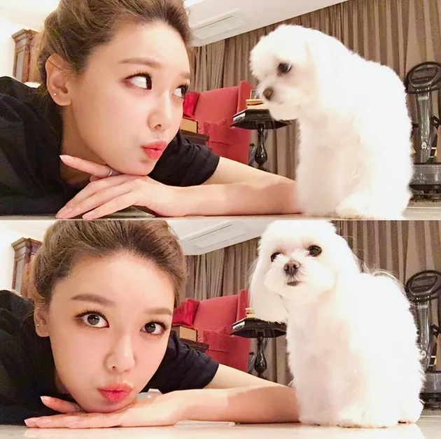 Member SNSD Dengan Hewan Peliharaan