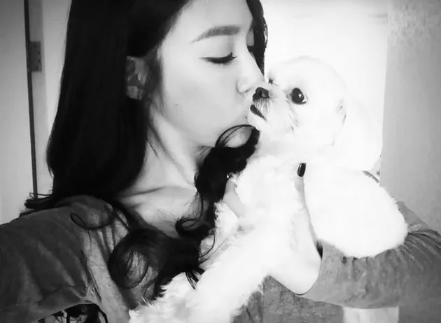 Member SNSD Dengan Hewan Peliharaan