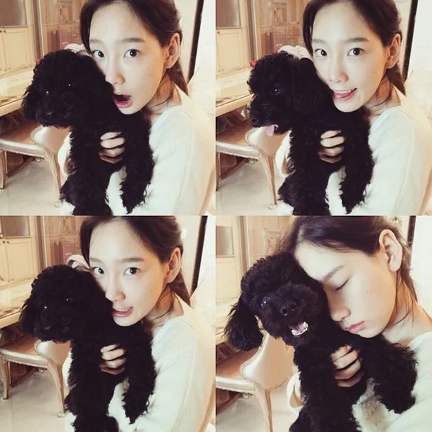 Member SNSD Dengan Hewan Peliharaan