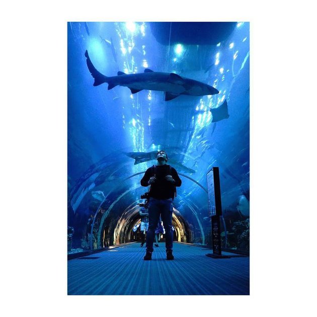 Keduanya juga menyempatkan untuk mampir ke Dubai Aquarium & Underwater Zoo ini.