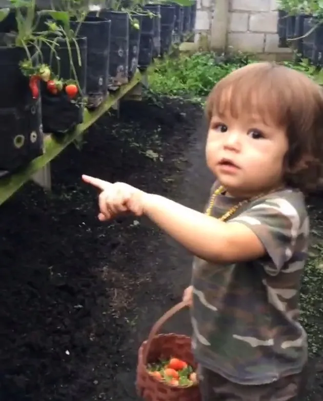 Jedar Bahagia Hidup Dengan El