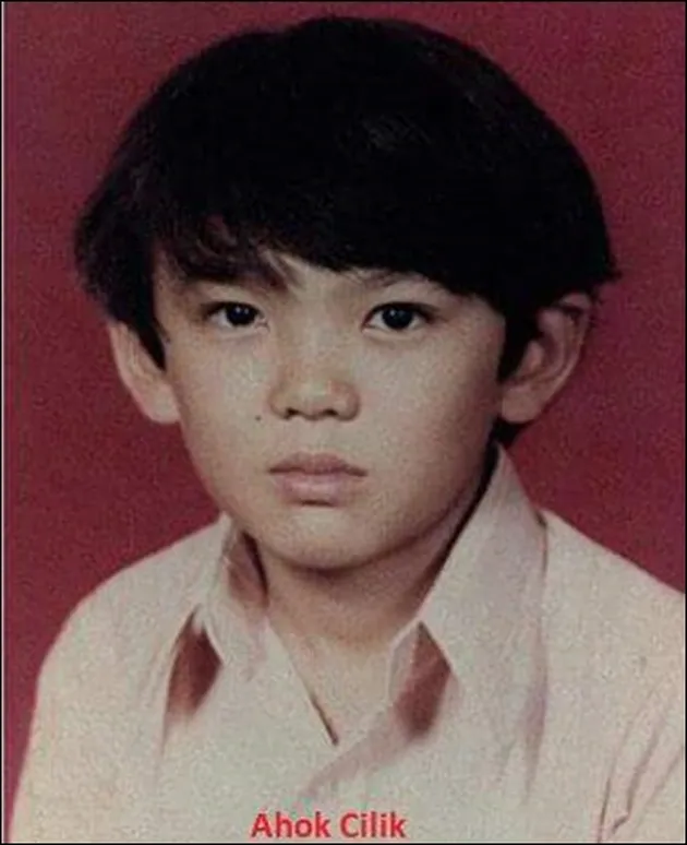 ahok, basuki tjahaja purnama
