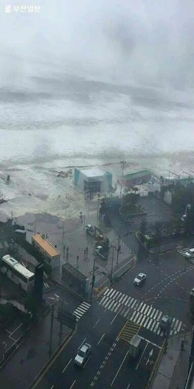 Foto Dampak Topan Chaba