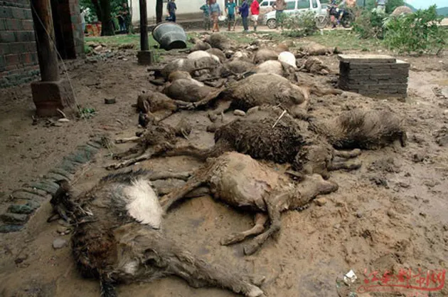 Foto banjir di China