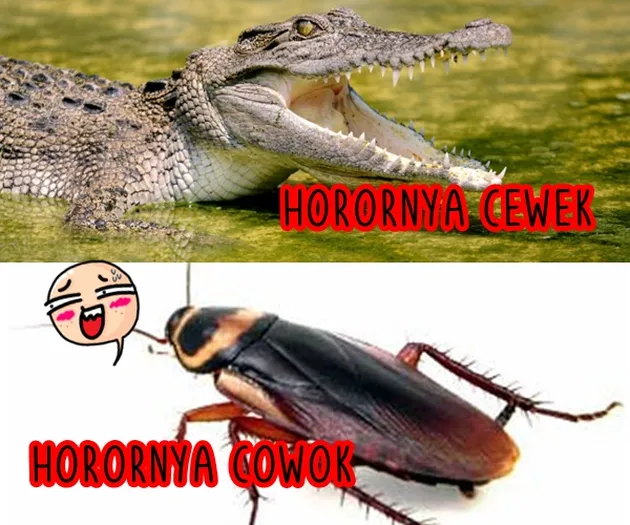 Kisah \&#039;Horor\&#039;