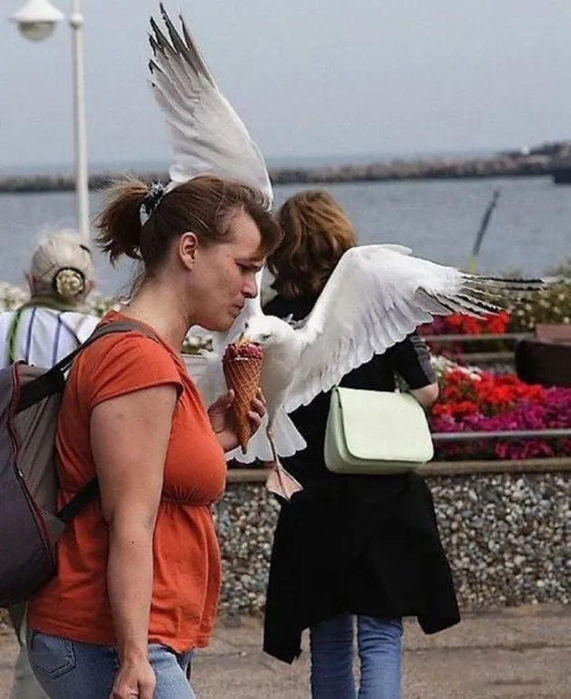 foto-foto kegilaan manusia saat musim panas