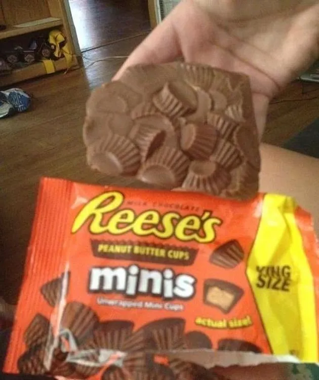 foto-foto kegilaan manusia saat musim panas