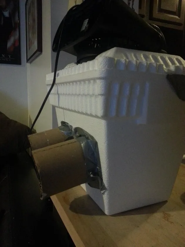 foto-foto kegilaan manusia saat musim panas