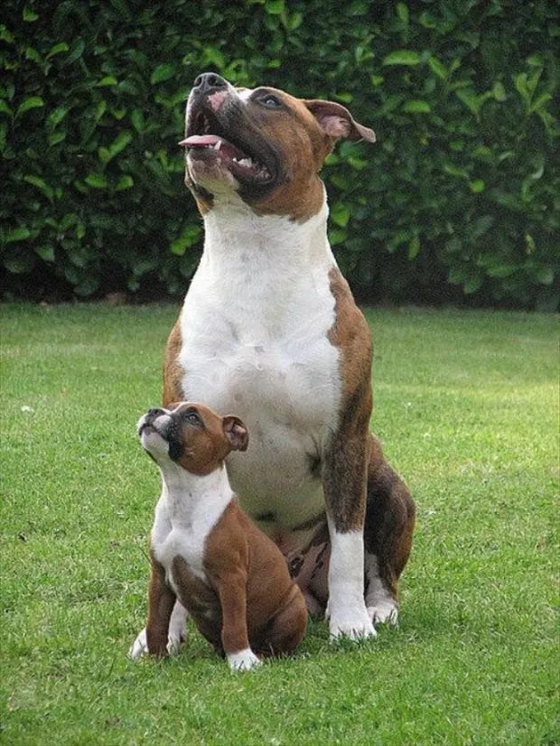 foto bukti miripnya ayah - anak