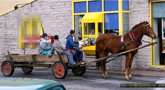 Perilaku Gila Orang-Orang di Bumi