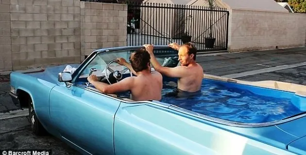 Perilaku Gila Orang-Orang di Bumi