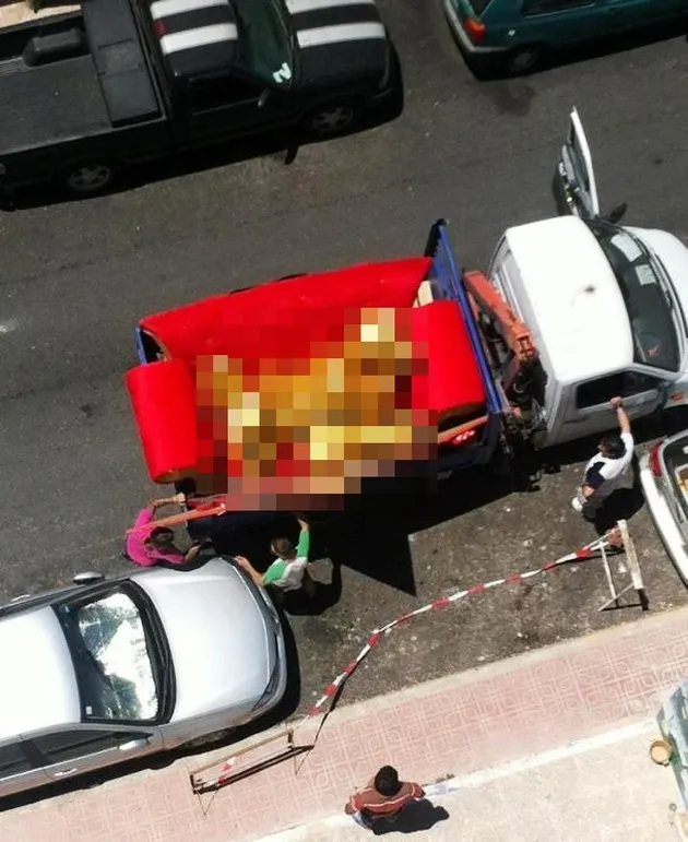 Perilaku Gila Orang-Orang di Bumi