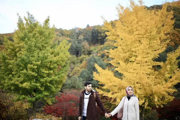 irvan fahad, hamidah rachmayanti