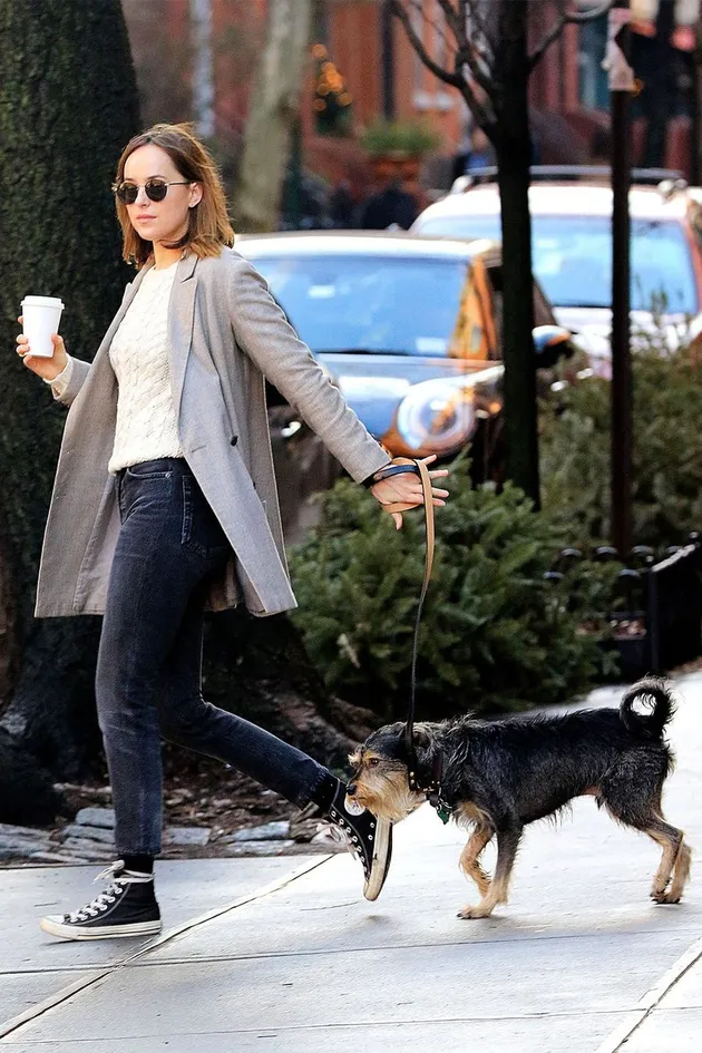 Fashion Dakota Johnson