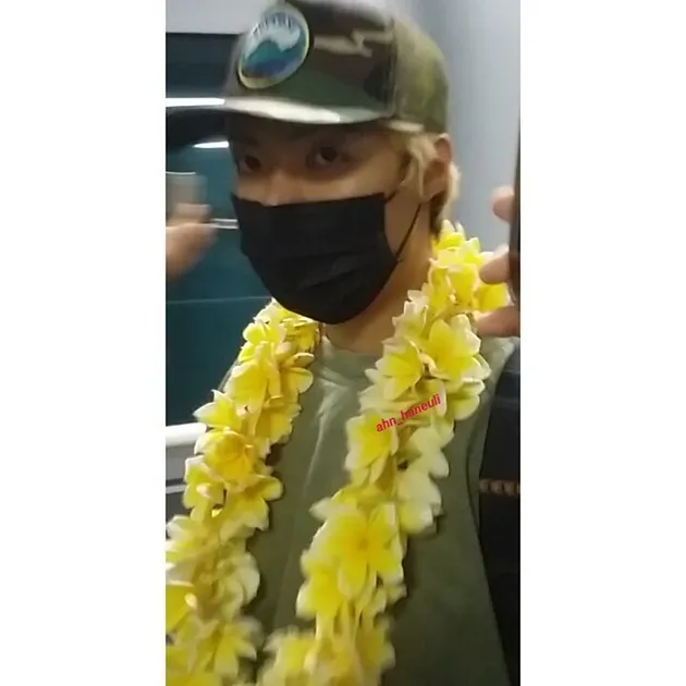 Law of The Jungle