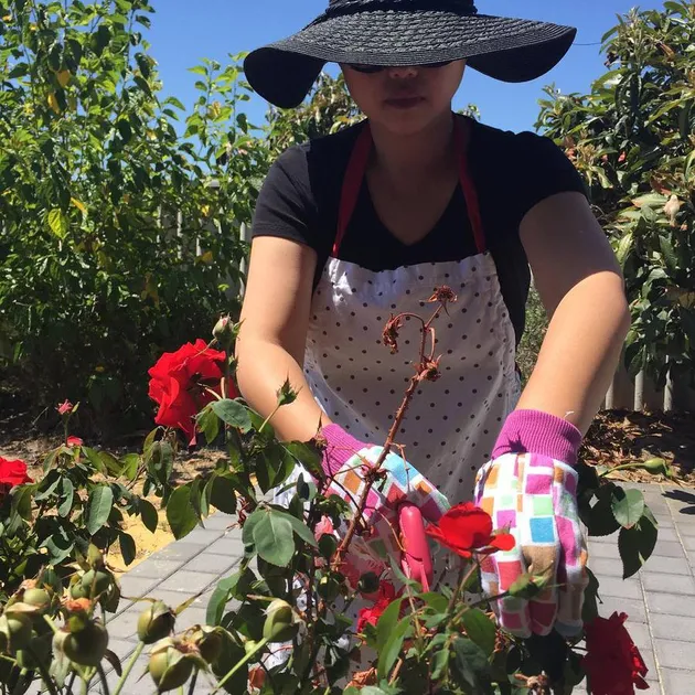 Cindy Claudia Harahap 