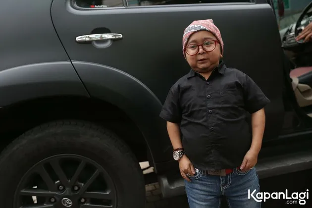 Daus Mini