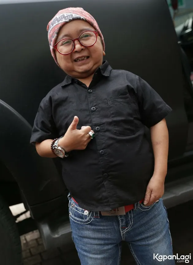 Daus Mini