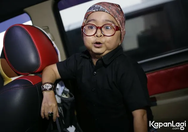 Daus Mini