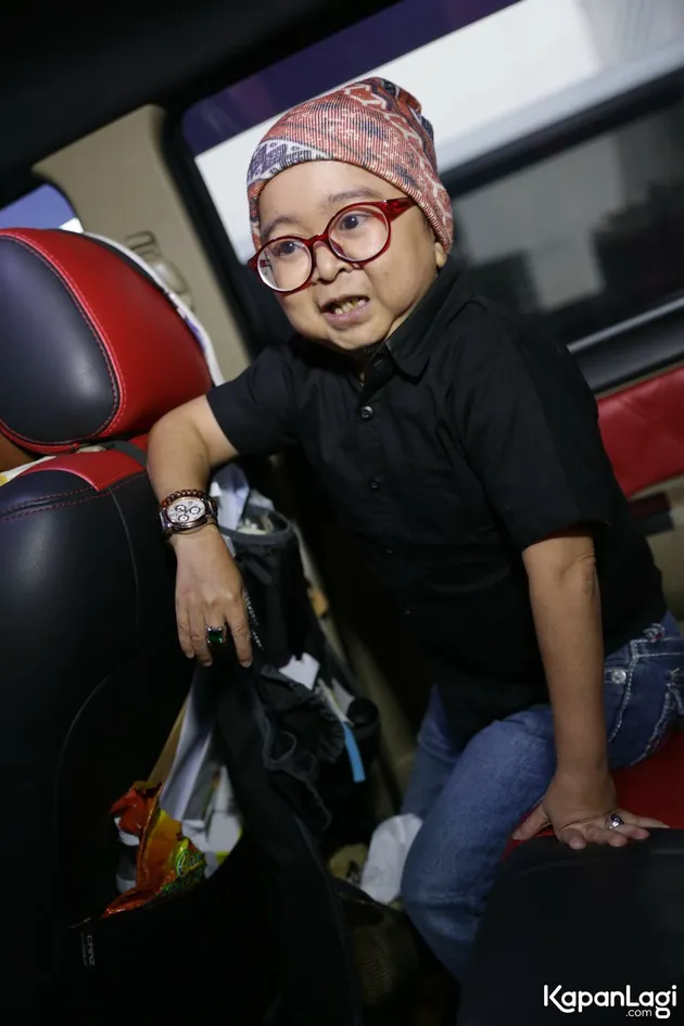 Daus Mini
