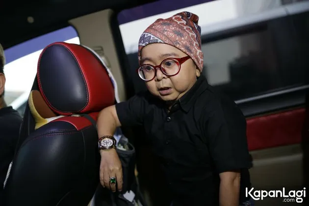 Daus Mini - Ryana Dewi