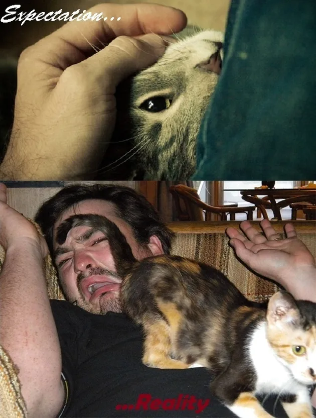 ekspetasi vs kenyataan