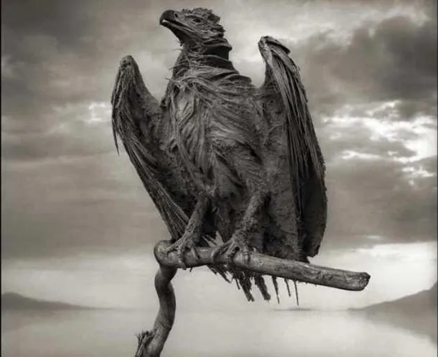 Fenomena Alam Aneh di Bumi