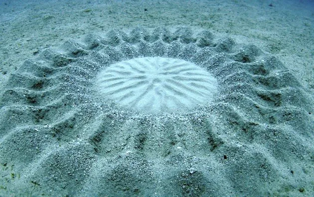 Fenomena Alam Aneh di Bumi