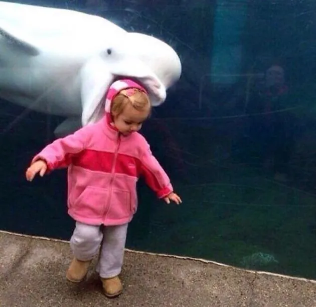 Photobomb Kocak