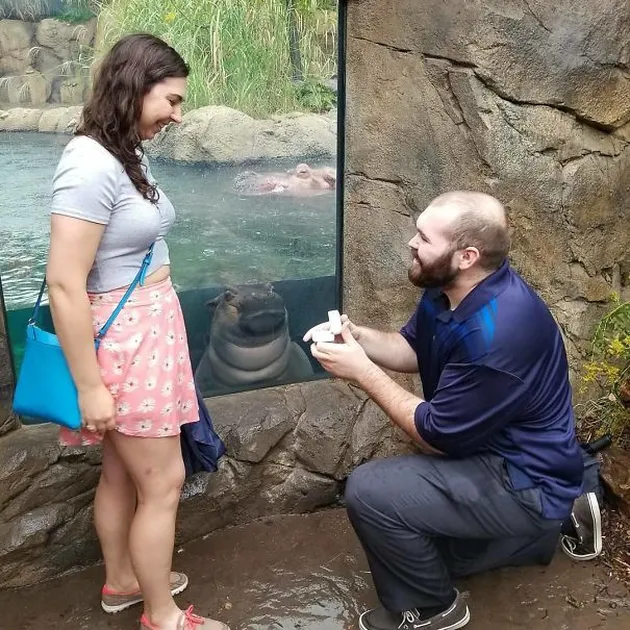 Photobomb Kocak