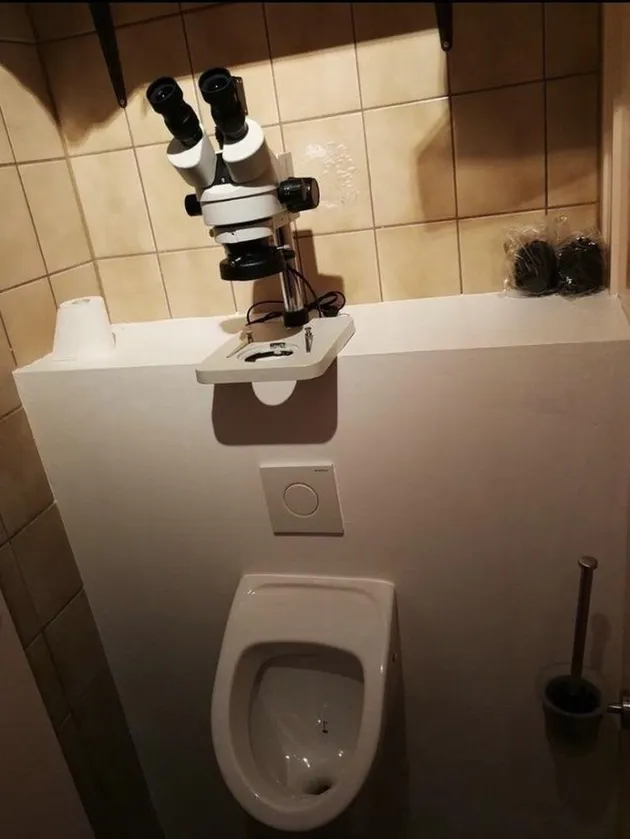 Toilet Pria