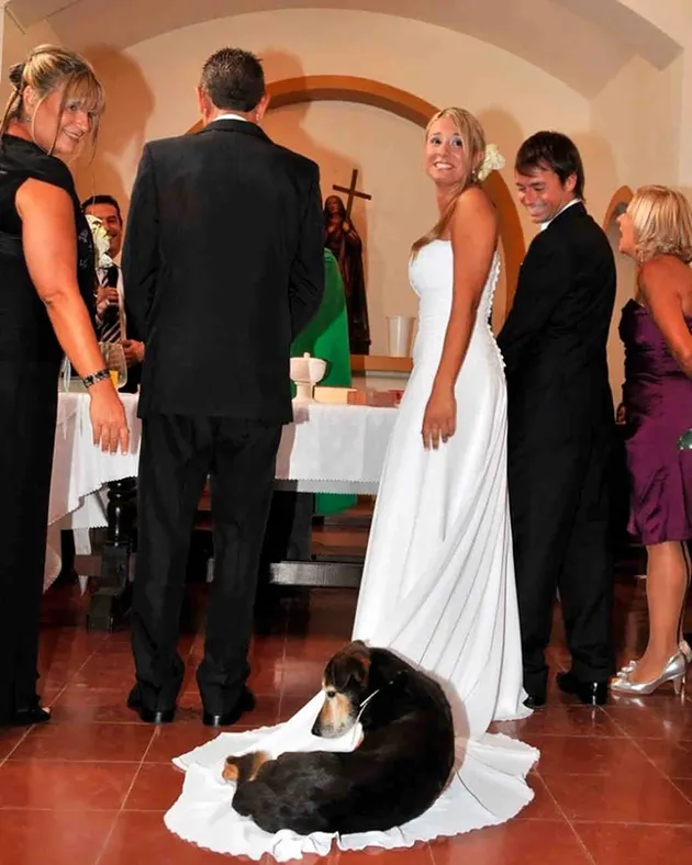 Wedding Photobombs