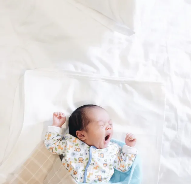 Ayudia Bing Slamet - Ditto