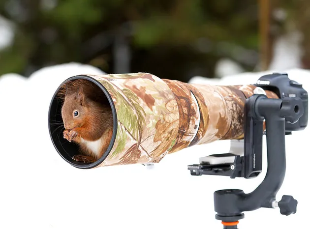 Binatang Ingin Jadi Fotografer