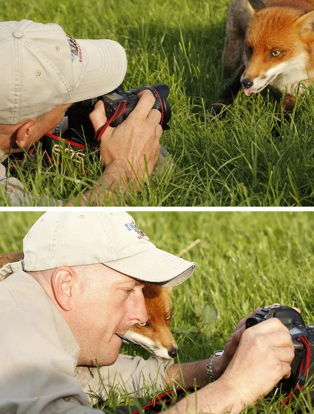 Binatang Ingin Jadi Fotografer