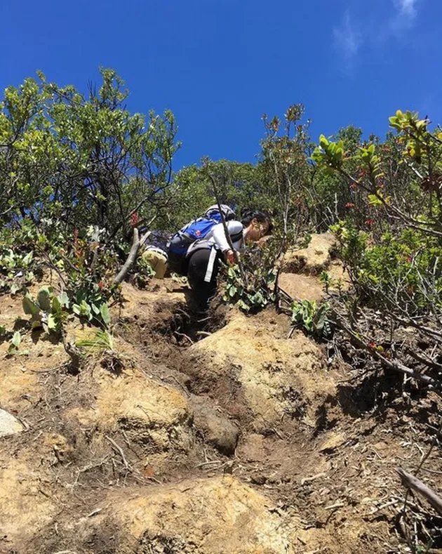 liburan selebriti, liburan atiqah hasiholan, atiqah ke gunung papandayan