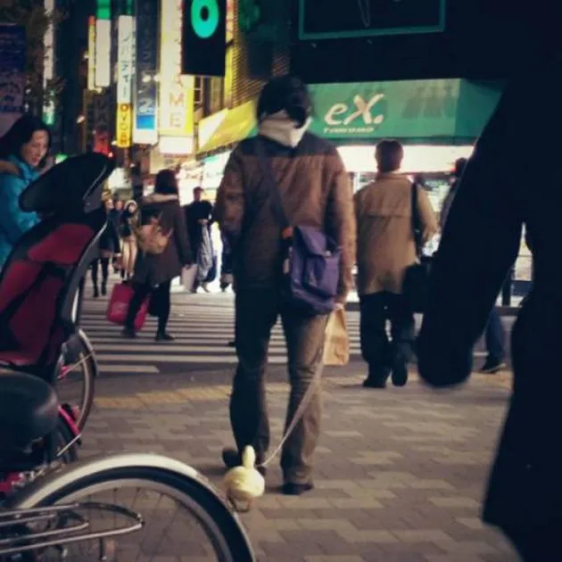 Hal-Hal Aneh di Jepang