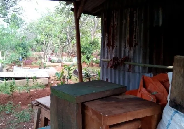 ayah marshanda, ayah marshanda pengemis