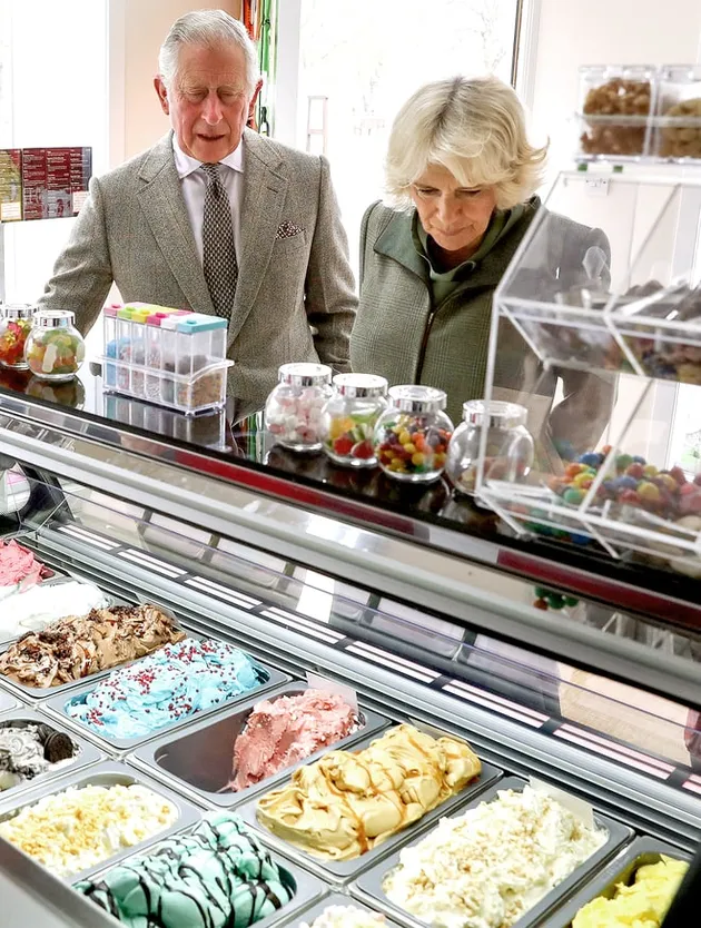 Kehidupan Biasa Artis Hollywood