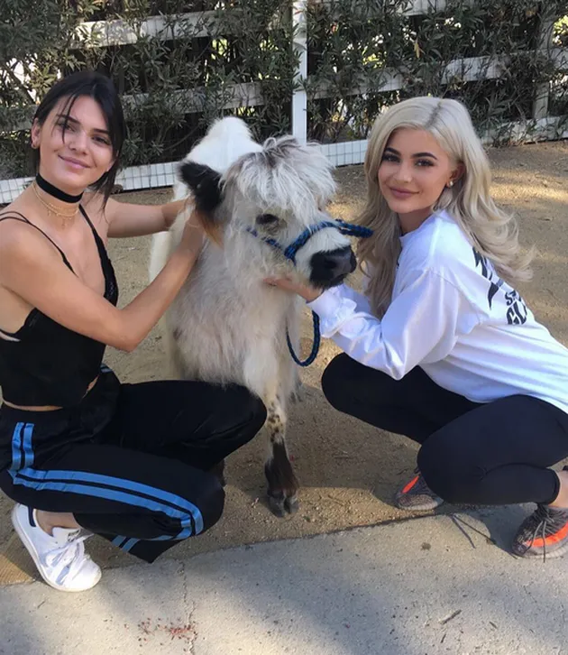 Keluarga Kardashian
