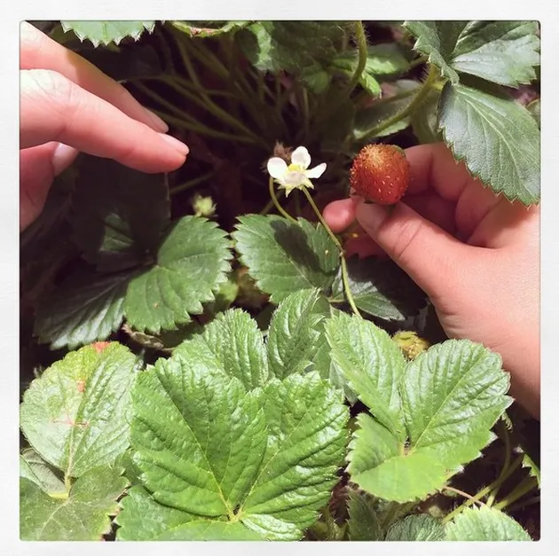 Miranda Kerr - Flynn Bloom