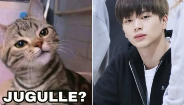<nil>