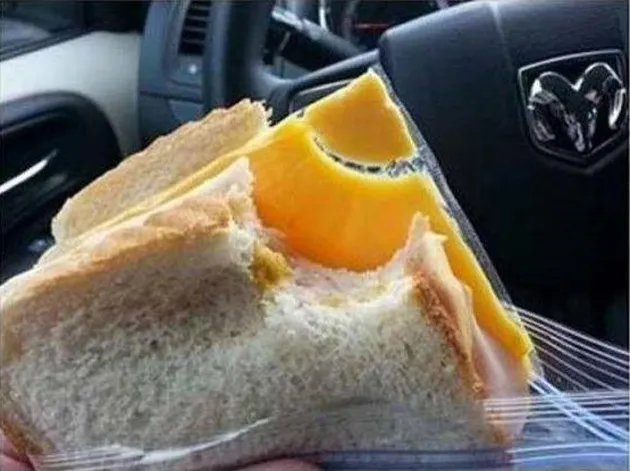foto aneh, foto ngakak, kebiasaan aneh, foto unik, foto otang yang pintar